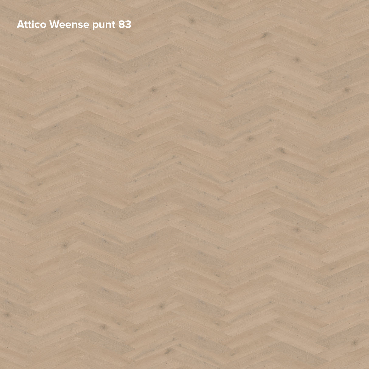 Belakos - Attico Hongaarse Punt | Dryback Visgraat - Weense Punt 83