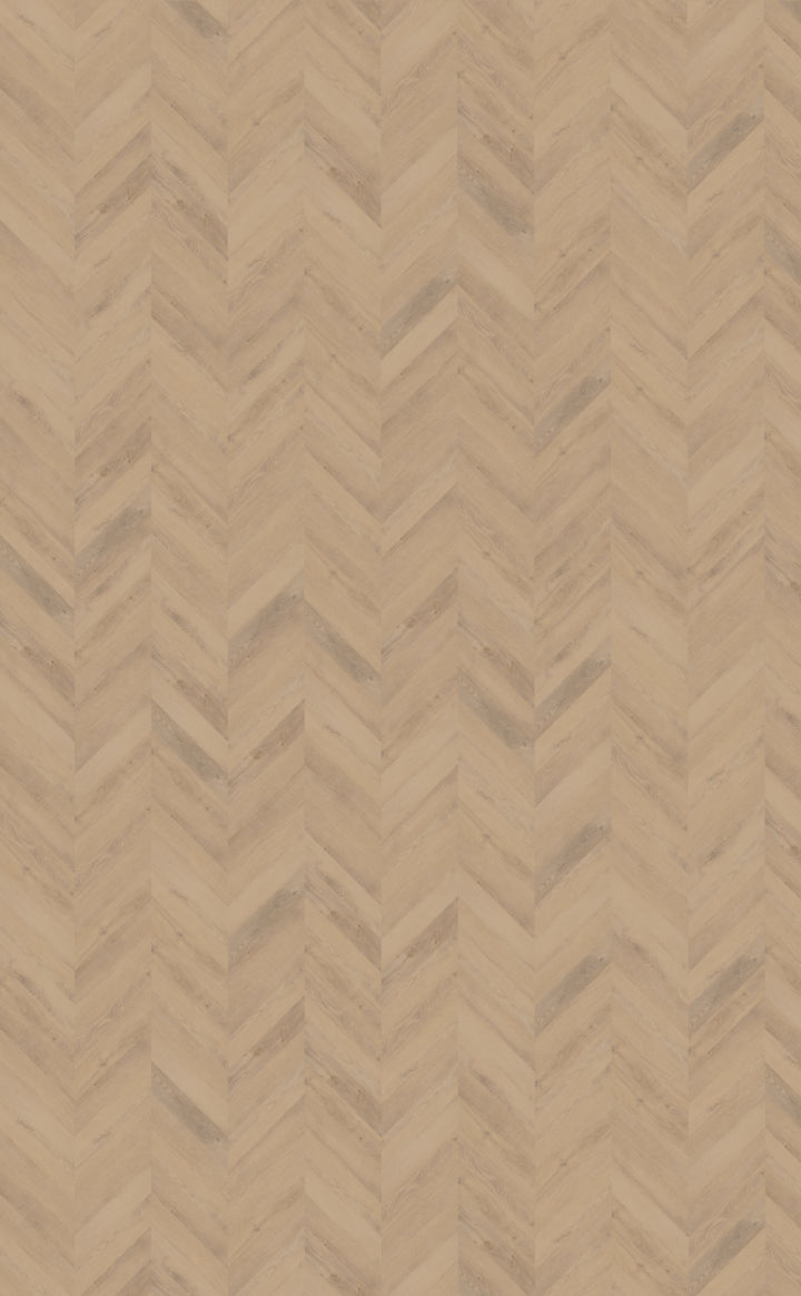 Belakos - Palazzo Hongaarse Punt | Dryback Visgraat - Weense Punt 72