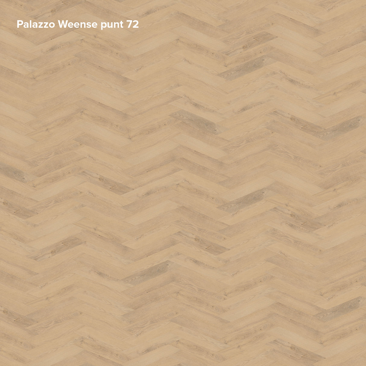 Belakos - Palazzo Hongaarse Punt | Dryback Visgraat - Weense Punt 72