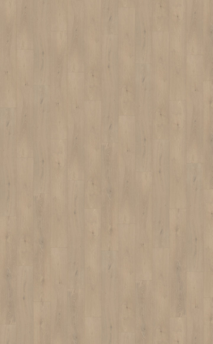 Belakos - Palazzo 740 XL - Rigid Click