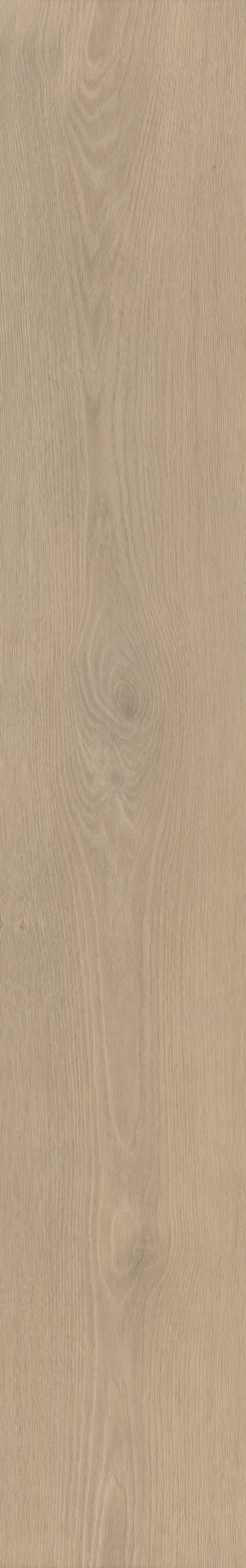 Belakos - Palazzo 740 XL - Rigid Click