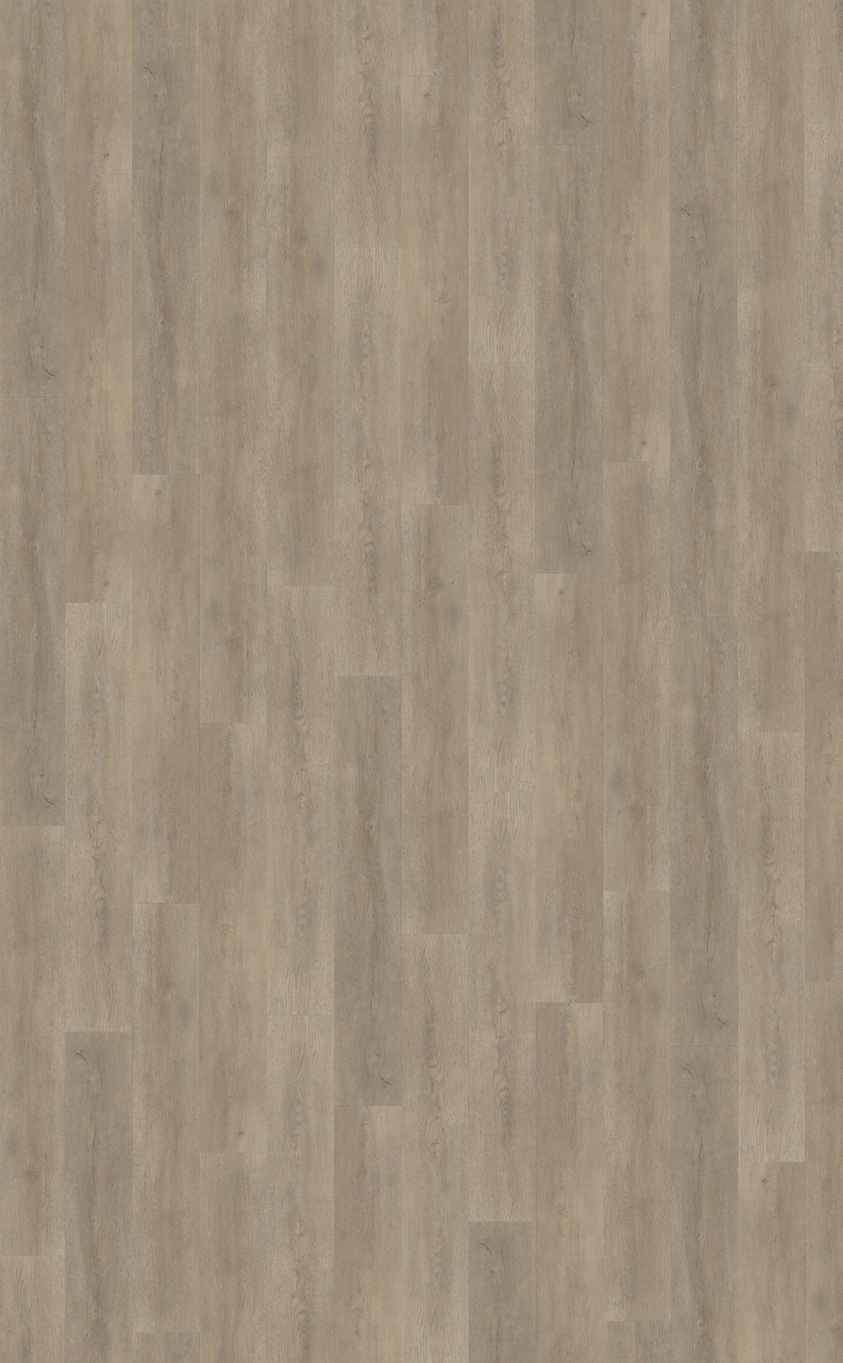 Belakos - Palazzo 700 - Dryback PVC – Bruin XL