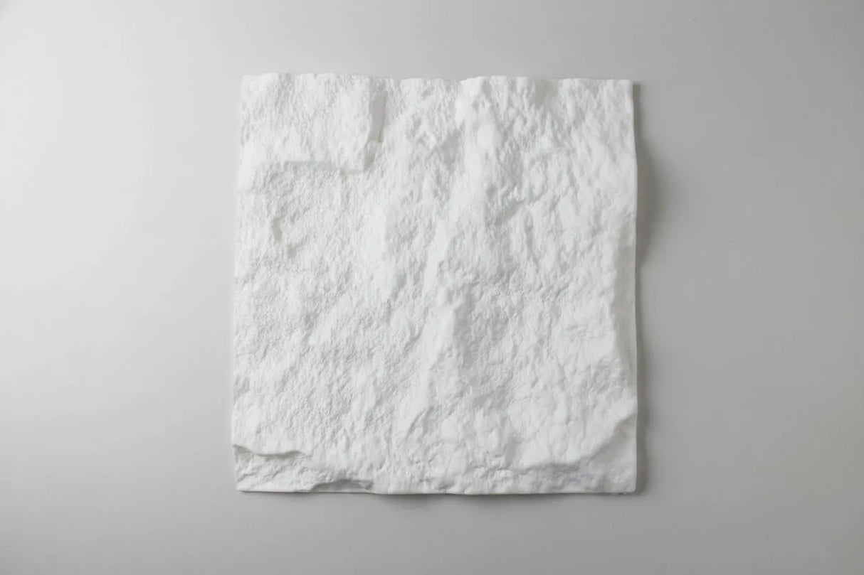 3D Rotswand Wandpaneel Agusta - Wit - Steenstructuur - XL & Mini