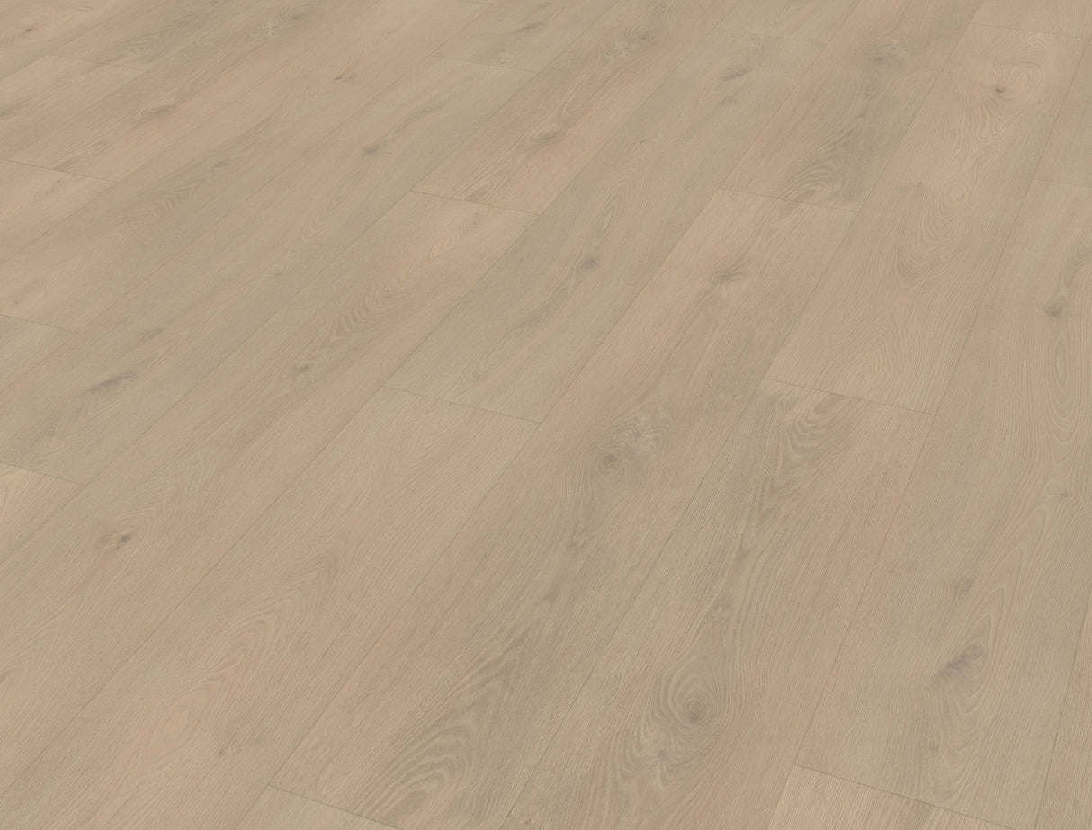 Belakos - Palazzo 740 XL Dryback – Tijdloze Luxe en Duurzaamheid