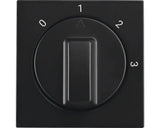 IONINDUSTRIES-centraalplaat-MatZwart