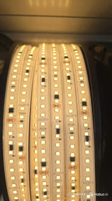 RGB-LED-Streifen | Wasserdicht, Sprachsteuerung und 50.000 Stunden Lebensdauer