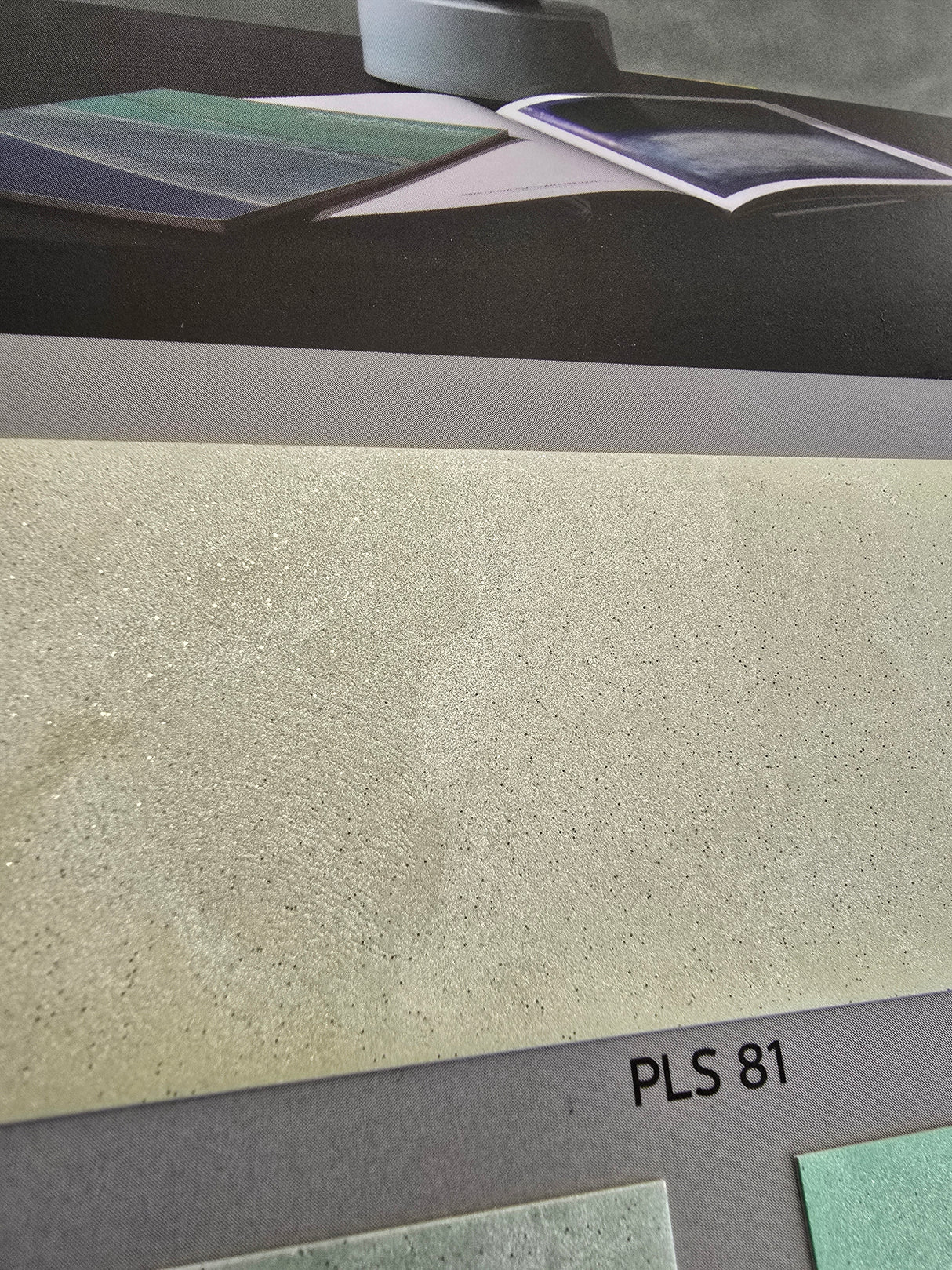 O'dassia - PLS00 - Platinia Lux | Luxury Decorative Paint for Interiors