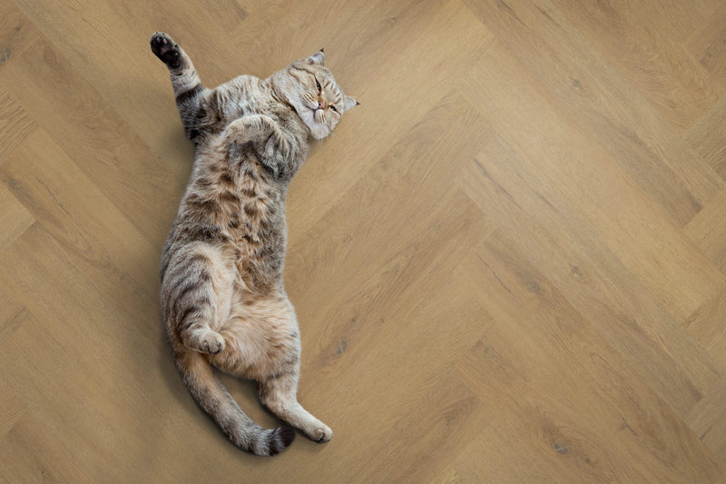 Oneflor Fine Oak Amber visgraat PVC vloer dryback verlijmbaar Victoriaanse stijl eiken - Bouwshop Utrecht