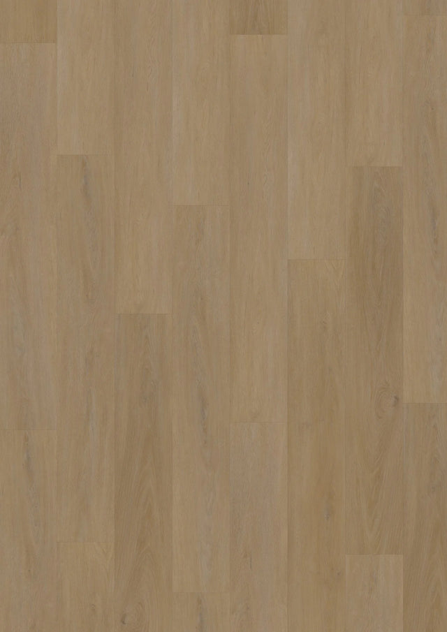 Oneflor English Oak Honey XL plak PVC plank in honingkleurig eiken – productfoto van het dessin