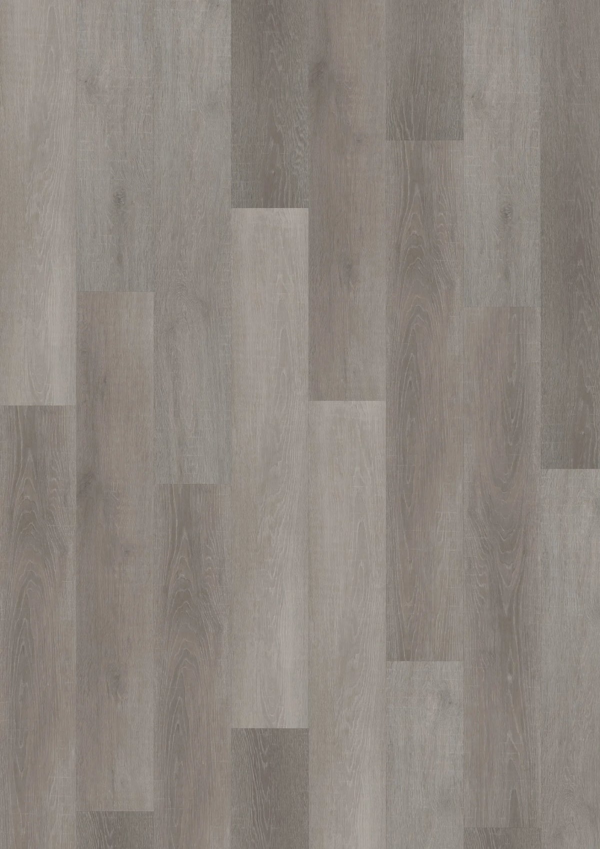 Oneflor Flemish Oak Grey plak PVC plank in grijs eiken – productfoto van het dessin