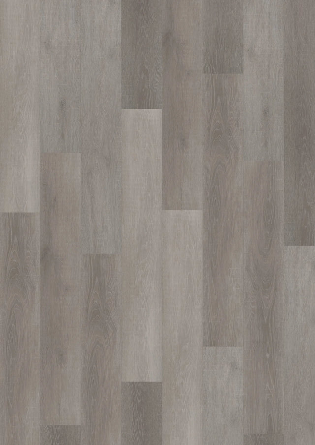 Oneflor Flemish Oak Grey plak PVC plank in grijs eiken – productfoto van het dessin